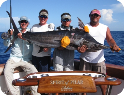 12 pound world record